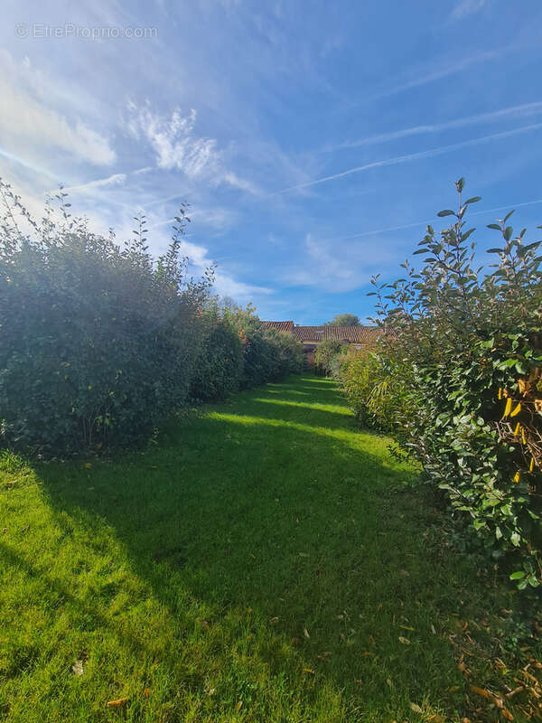 Maison à SAINT-SULPICE-SUR-LEZE