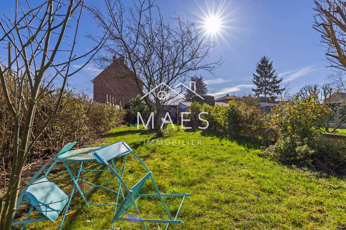 Maison à WAMBRECHIES