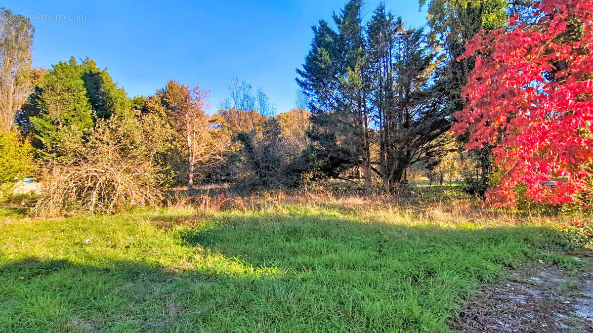 Terrain à SAINT-ANDRE-DE-CUBZAC