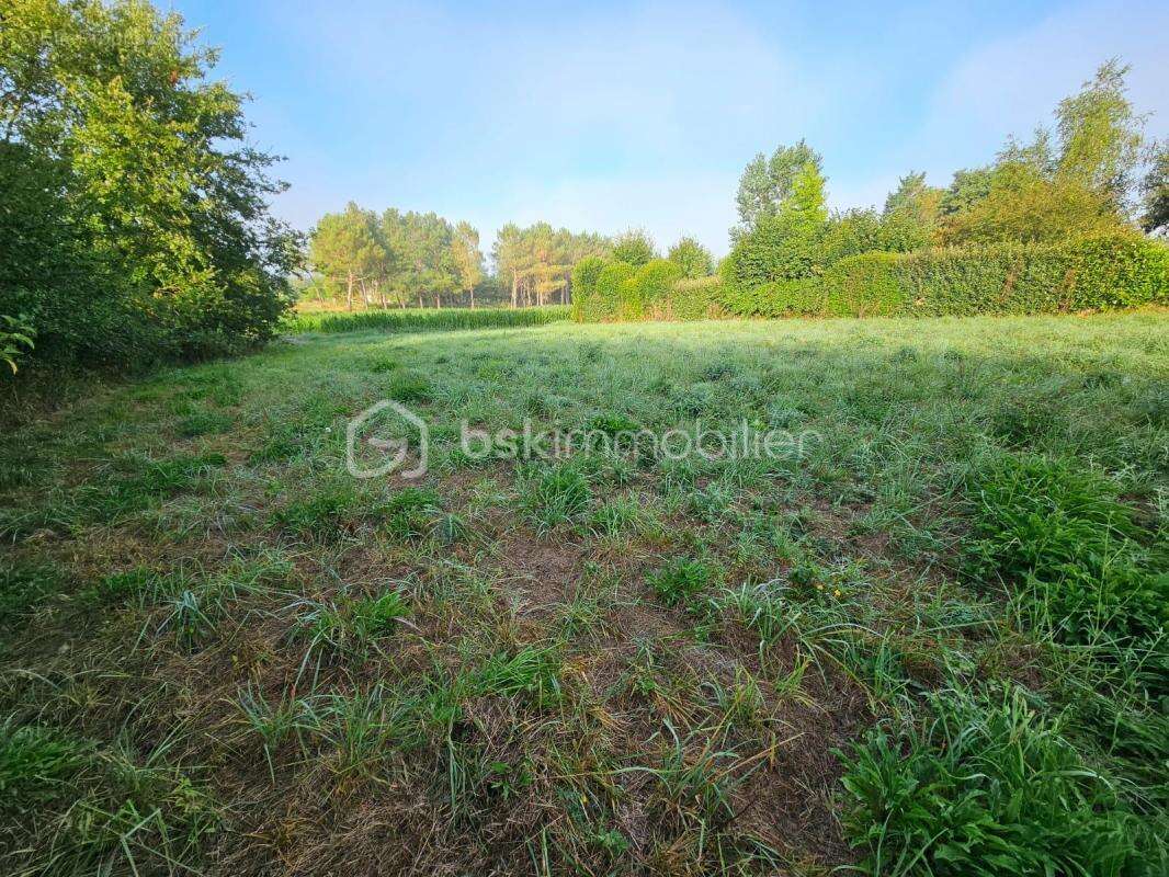 Terrain à bâtir idéalement situé – Aire-sur-l’Adour - photo 2
