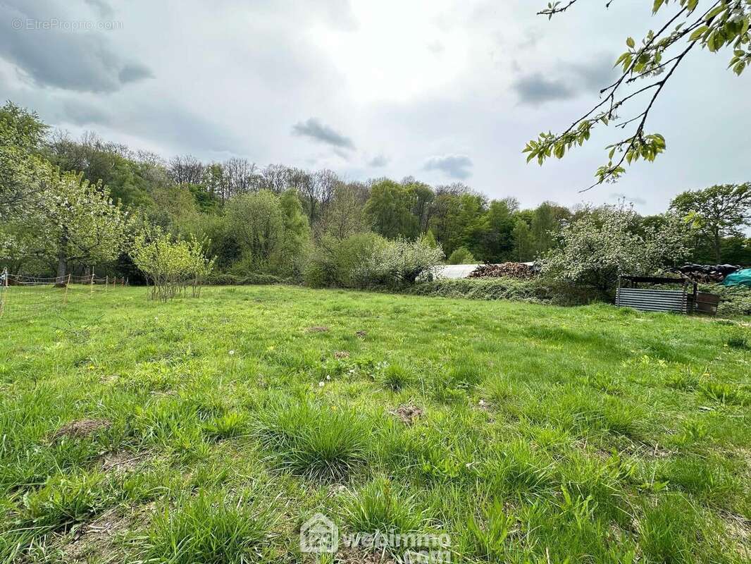 Ce terrain n'attends plus que vous et votre projet ! A découvrir rapidement !!! - Terrain à MAUREGNY-EN-HAYE