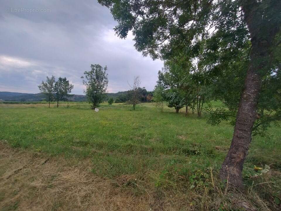 Terrain à BERRIAS-ET-CASTELJAU