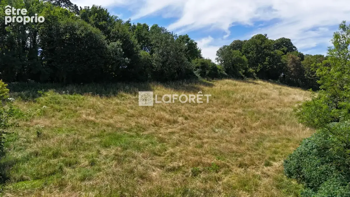 Terrain à vendre Chatillon Sur Chalaronne 11049 m2 - photo 4