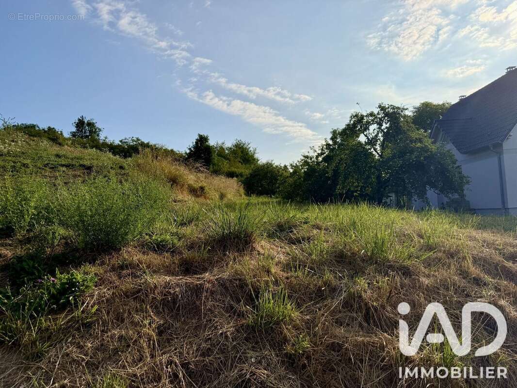Terrain 1707 m² à Illfurth  - photo 2