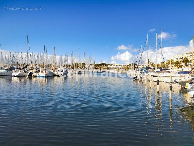 Commerce à LE GRAU-DU-ROI