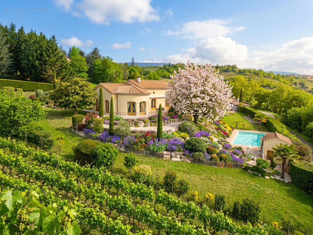 Luxueuse villa avec vue panoramique - photo 2