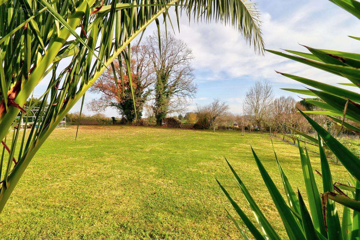 Maison à FAYE-SUR-ARDIN