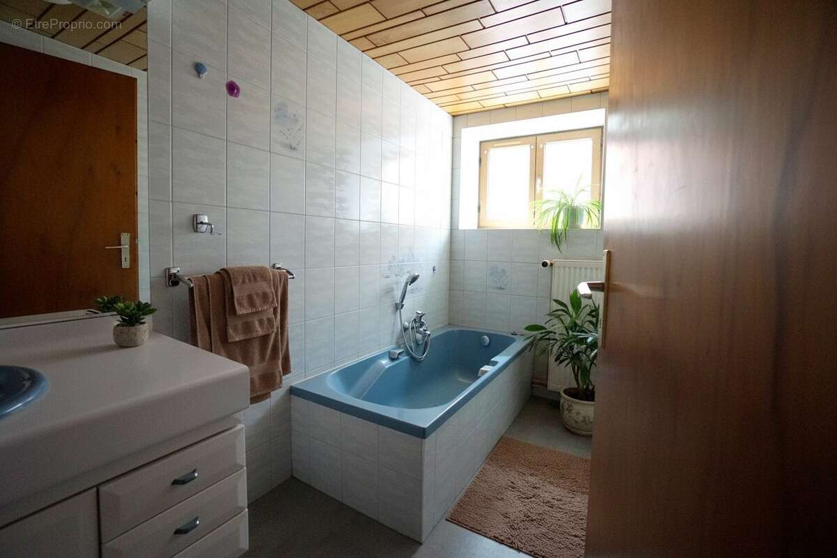 Appartement à OTTMARSHEIM