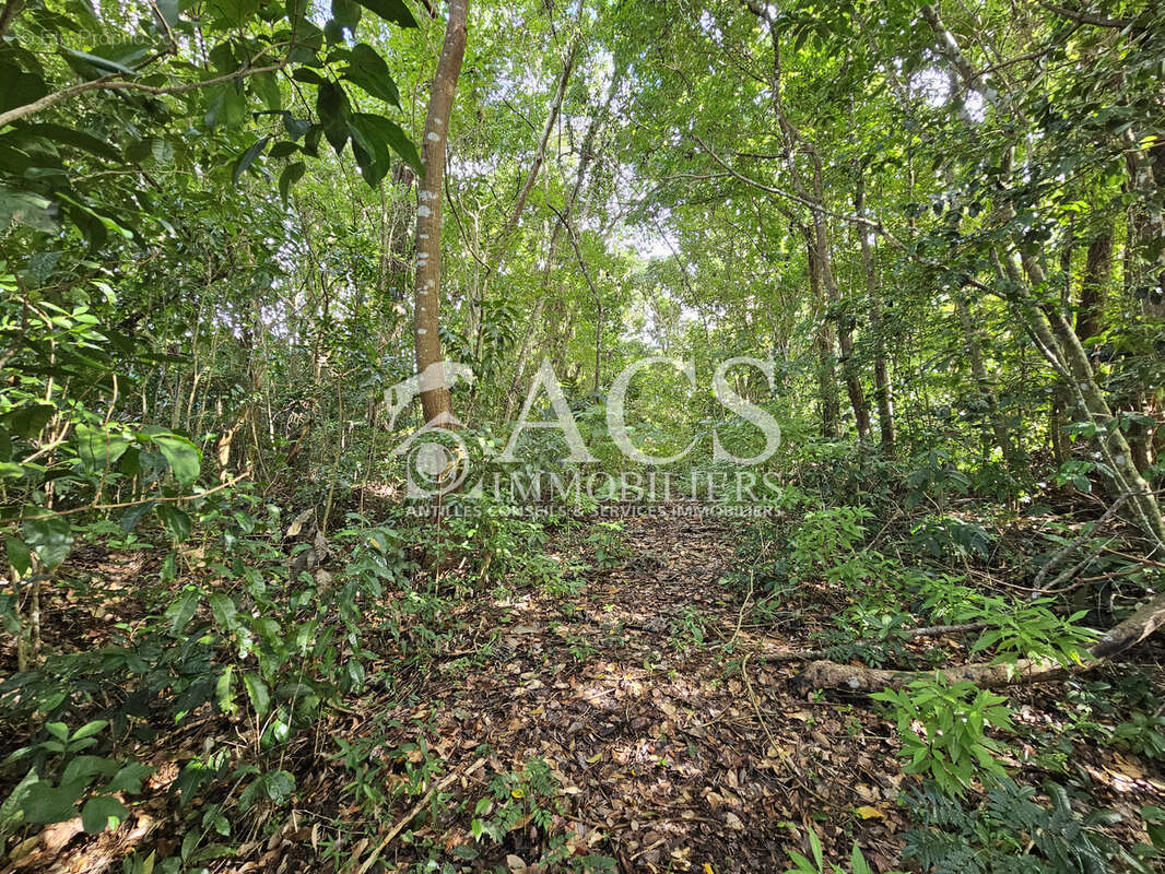 Terrain à bâtir de 20.000 m2 dont 3.500 m2 constructibles - photo 4