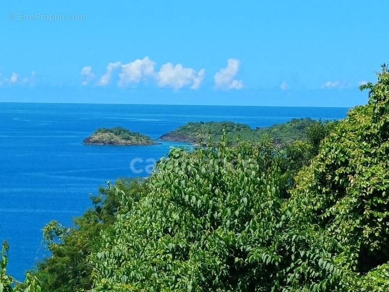 Terrain à BOUILLANTE