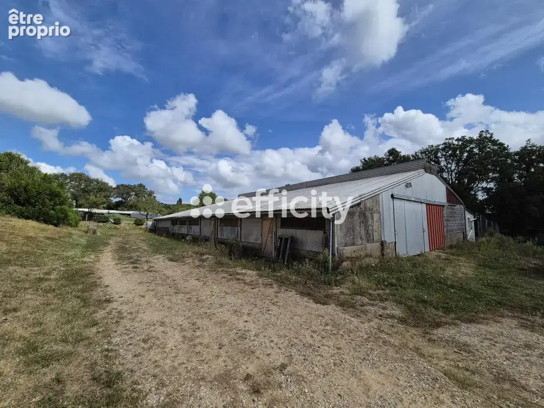 Maison 200 m² à Thevet-Saint-Julien  - photo 25