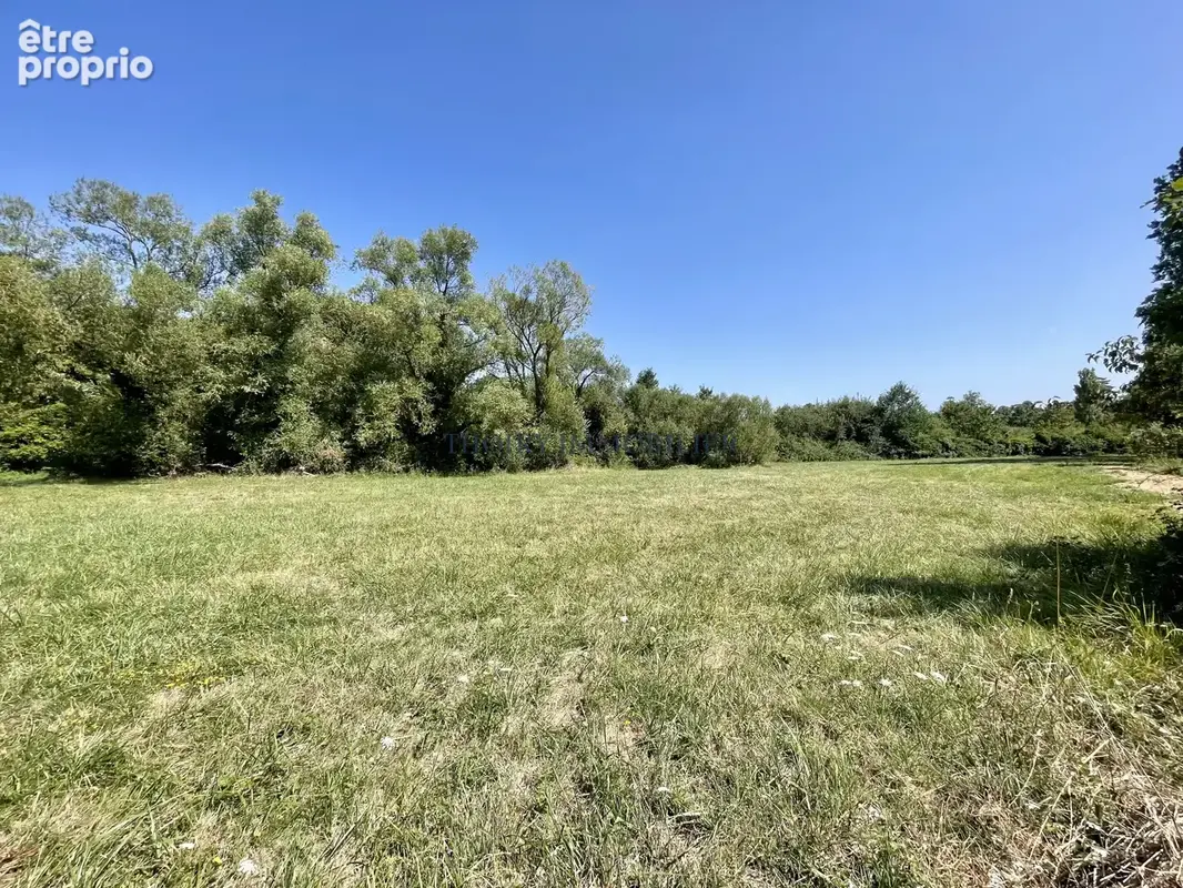 Propriété de charme 11 pièces sur 36 985 m2. - photo 36