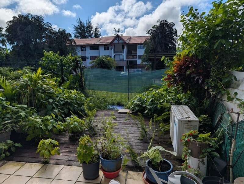 Appartement à CAYENNE