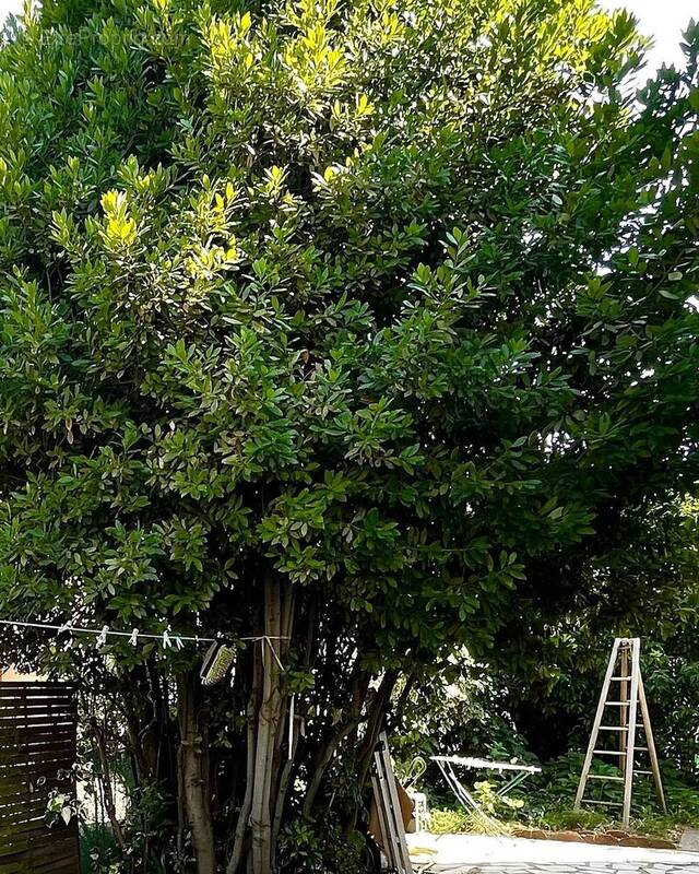 Maison à CLERMONT-L&#039;HERAULT