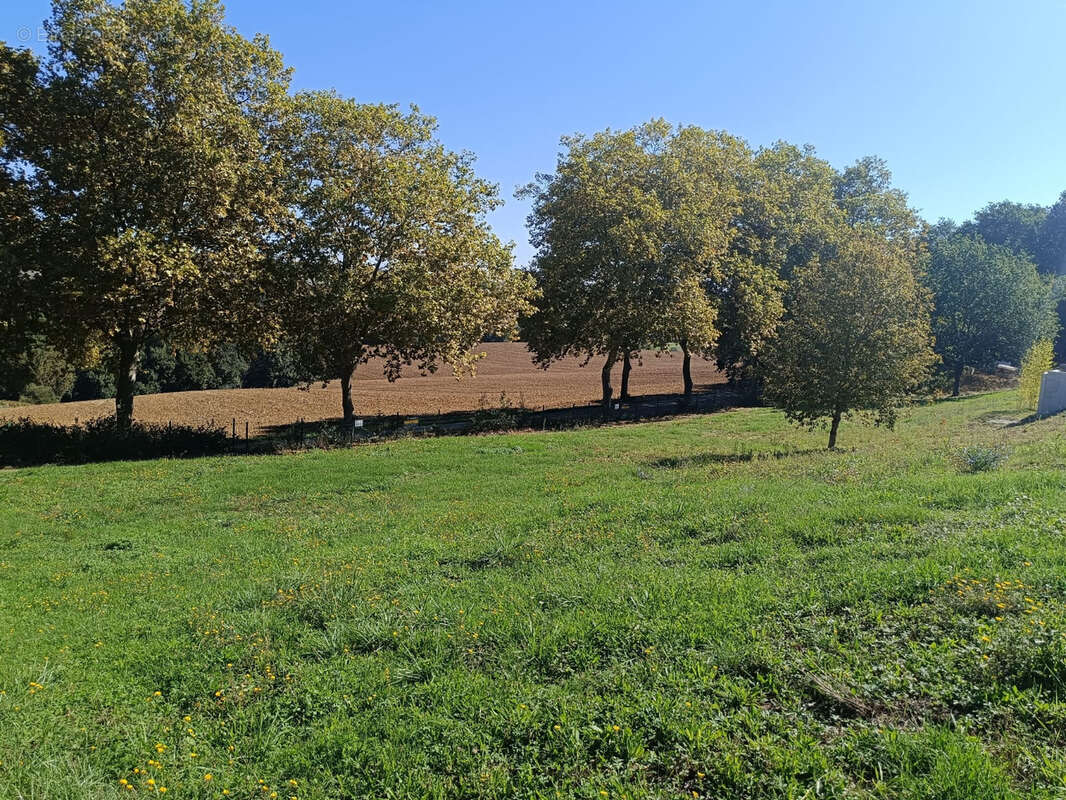 Terrain à AUREVILLE