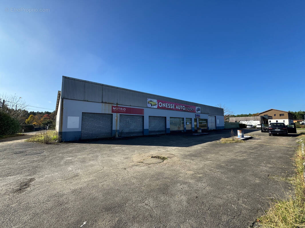 Commerce à ONESSE-ET-LAHARIE