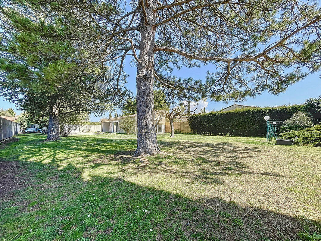 Terrain à CARPENTRAS