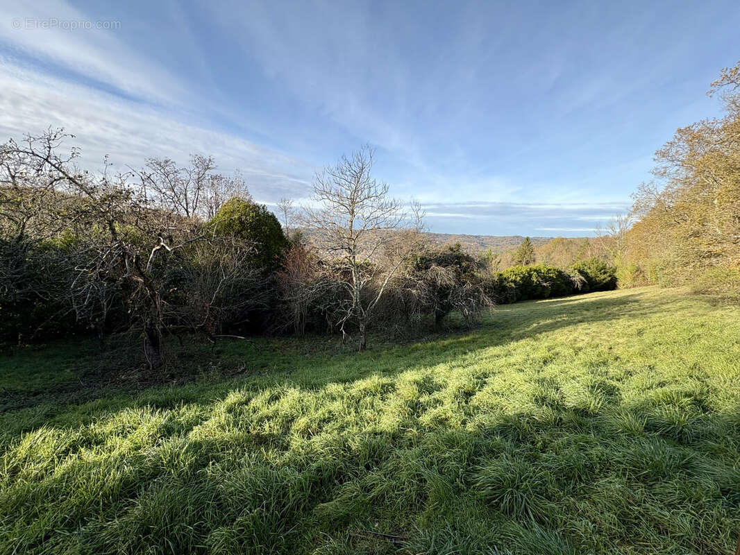 Maison à TERRASSON-LAVILLEDIEU
