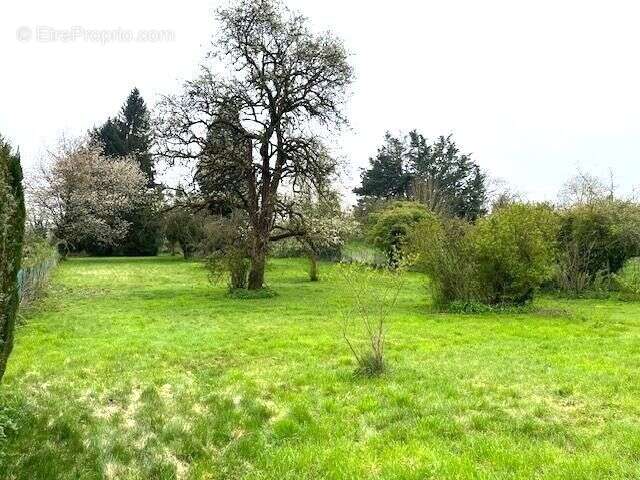 Neuilly en thelle - photo 4