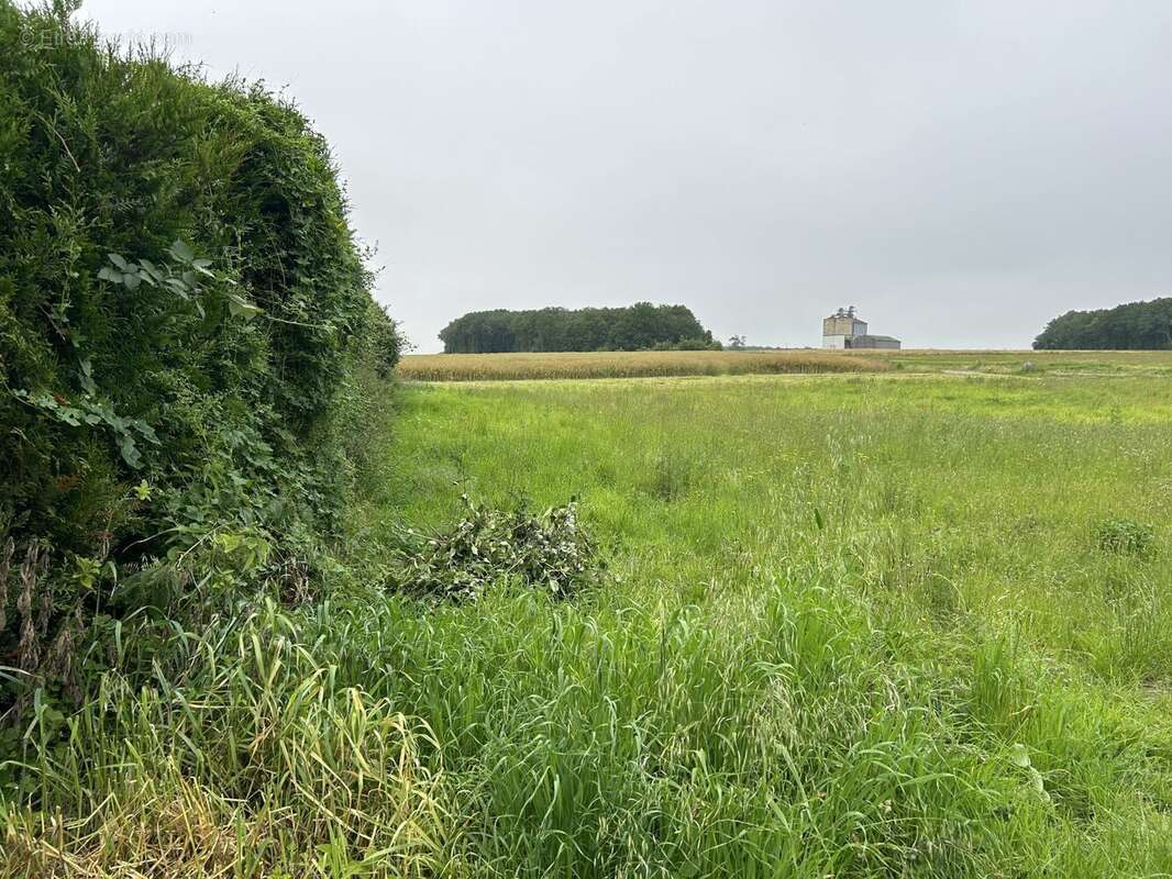 Terrain à SAINT-ARNOULT-DES-BOIS
