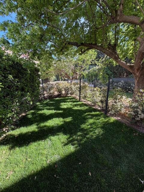 Appartement à COLLIOURE