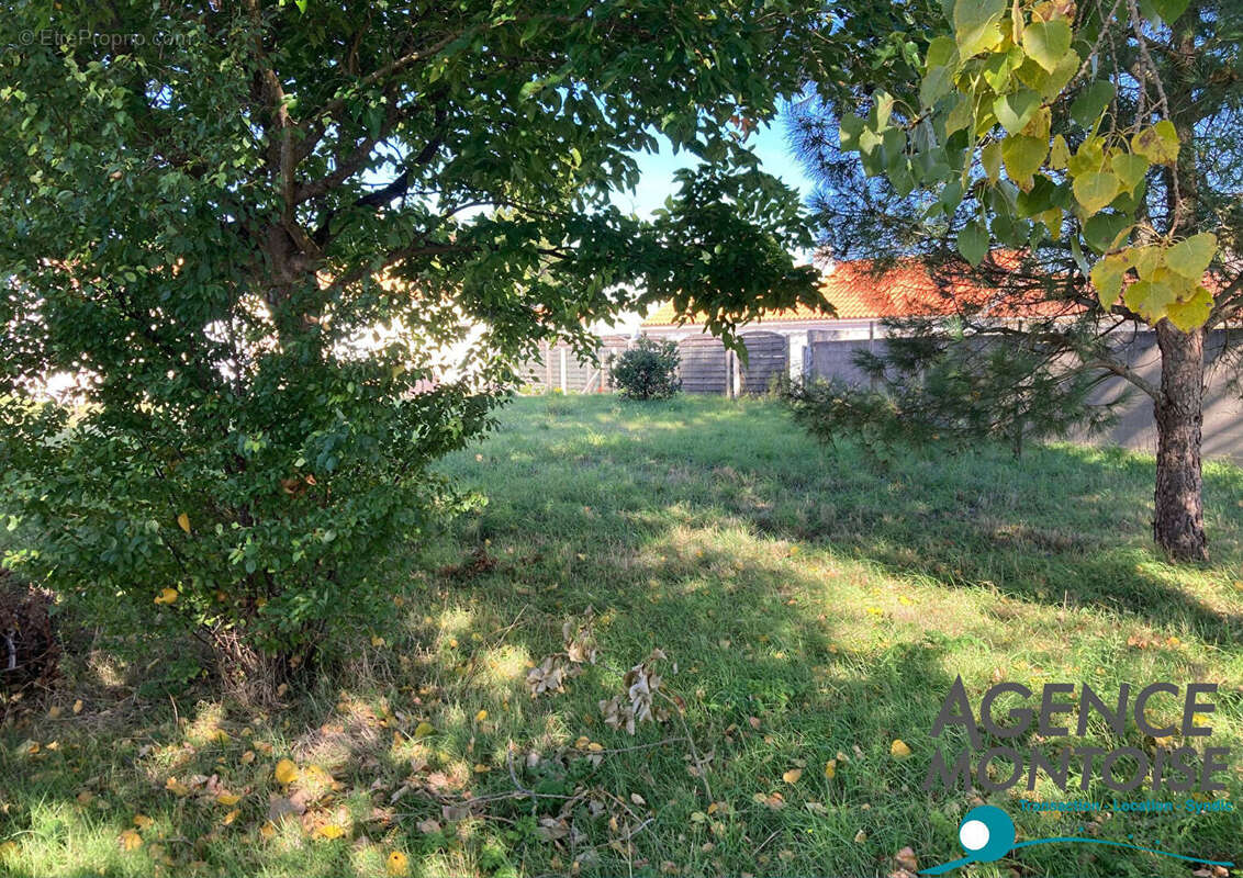 Terrain à NOTRE-DAME-DE-MONTS