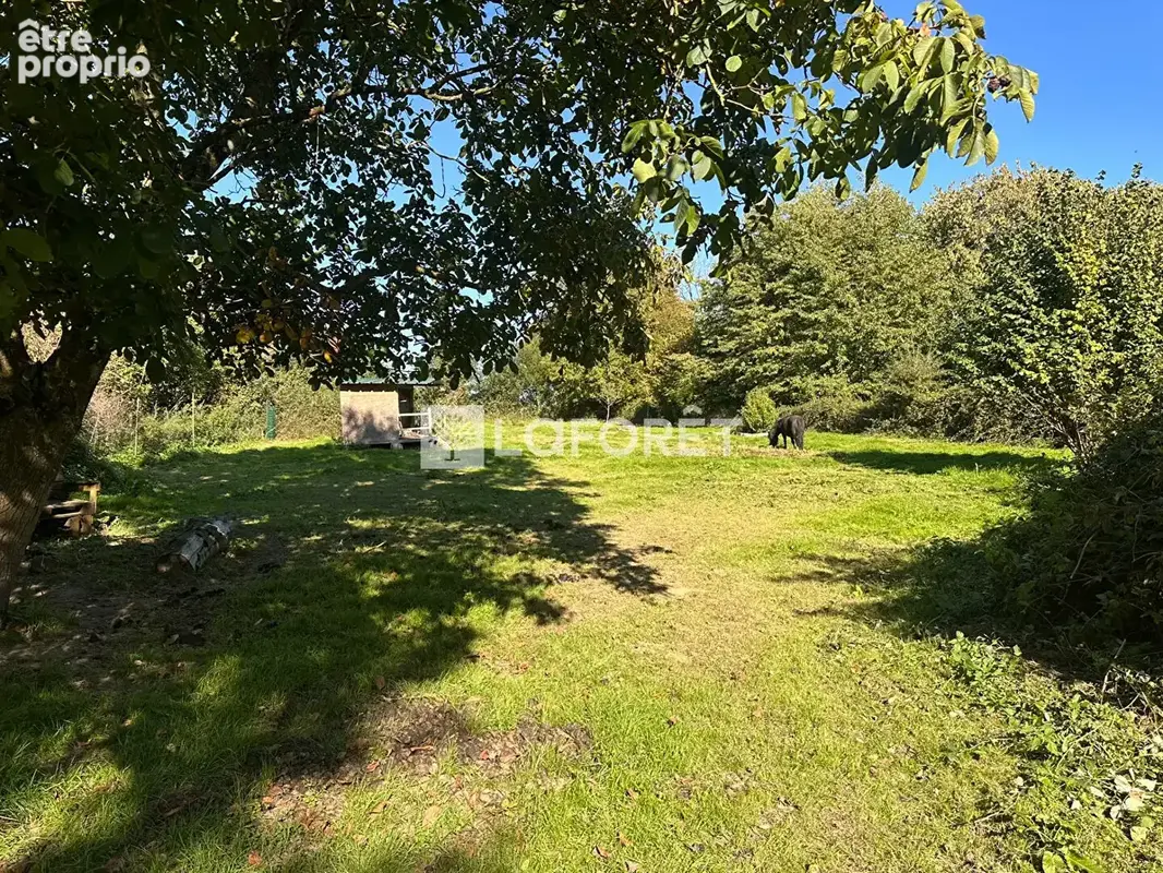 MANDAT FORVORIZ Maison Hesdin 5 pièce(s) 106 m2 - photo 4