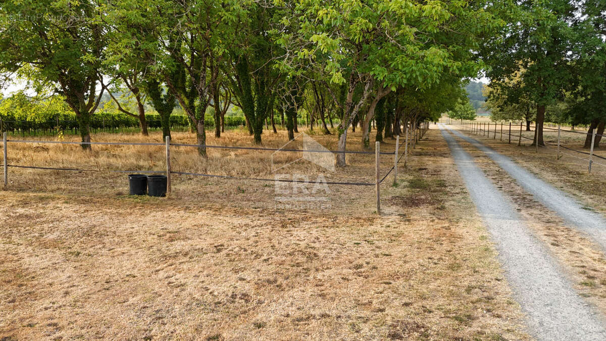 Maison sans vis à vis accès rivière - photo 3