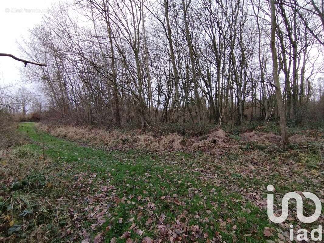 Photo 7 - Terrain à VEZILLY