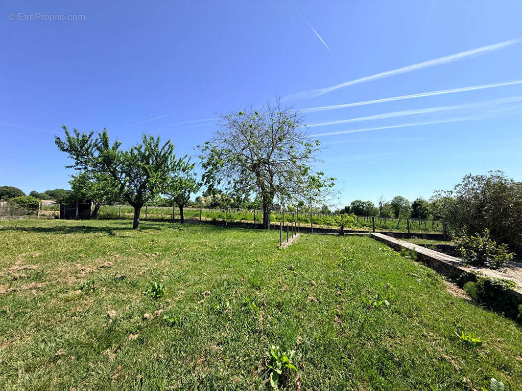 Terrain à FRONSAC