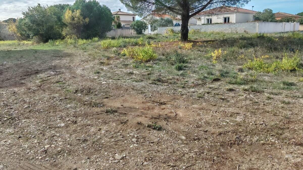 Terrain à BEZIERS