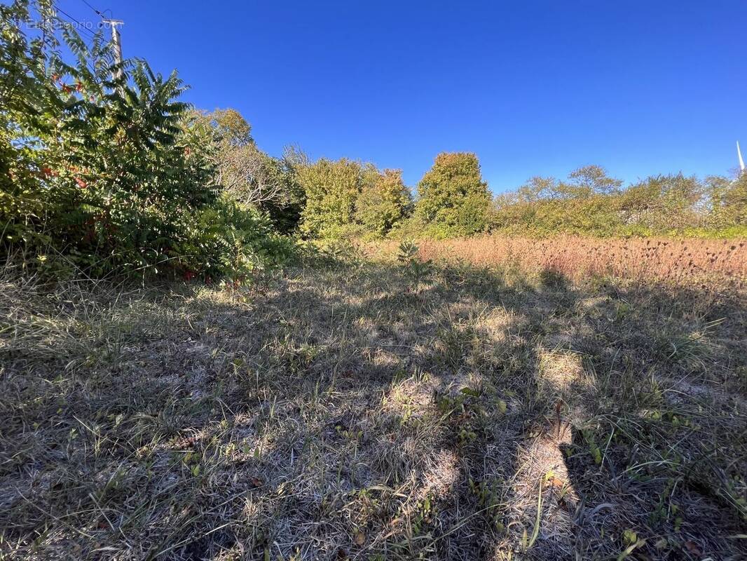 Terrain à FONTENILLE