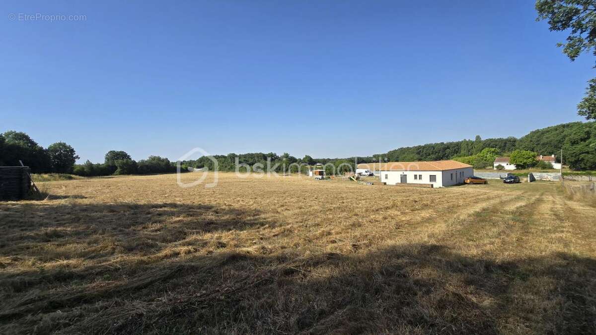 Maison spacieuse de 2019, lumineuse, quatre chambres, bureau, garage, grand terrain agricole - photo 25