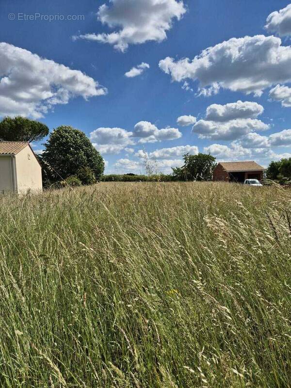 Terrain à CHAMPNIERS