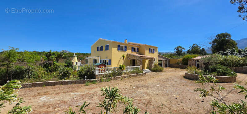 CALENZANA Maison à vendre 305 m² terrain de 5600 m² - Piscine - vue sur Calvi - photo 4
