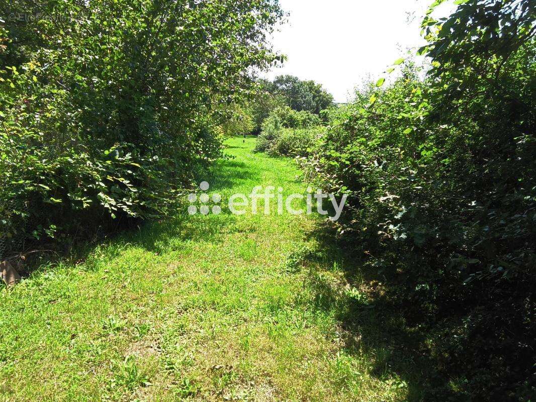 Maison à TOULON-SUR-ARROUX