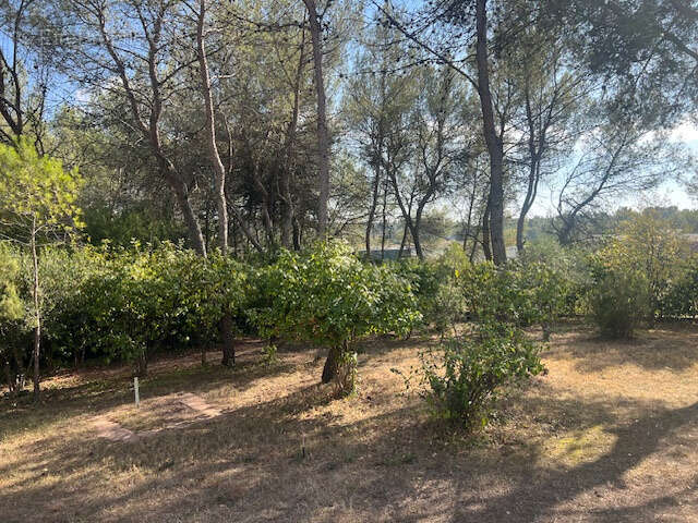 Terrain à SAINT-CLEMENT-DE-RIVIERE