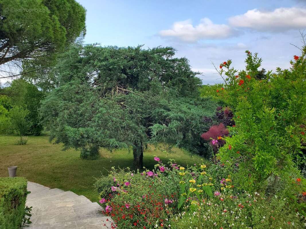 Maison à CHAMPNIERS