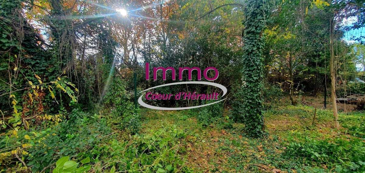 Maison à SAINT-ANDRE-DE-SANGONIS