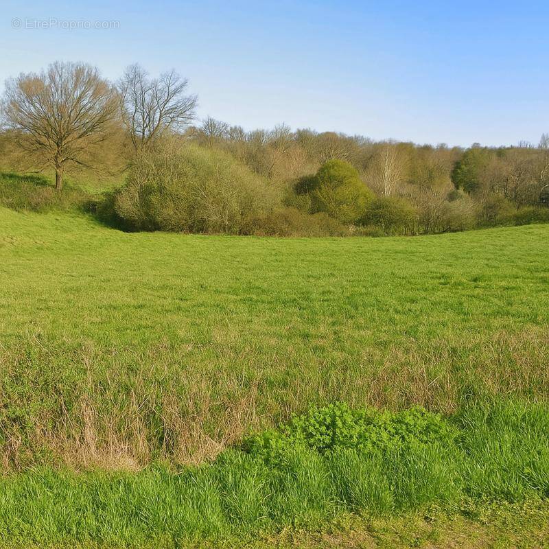 Terrain à PEYRIGNAC