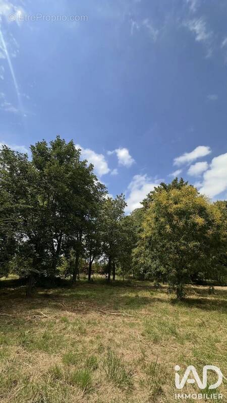 Photo Maison à Montpon-Menesterol au prix de 262 000€