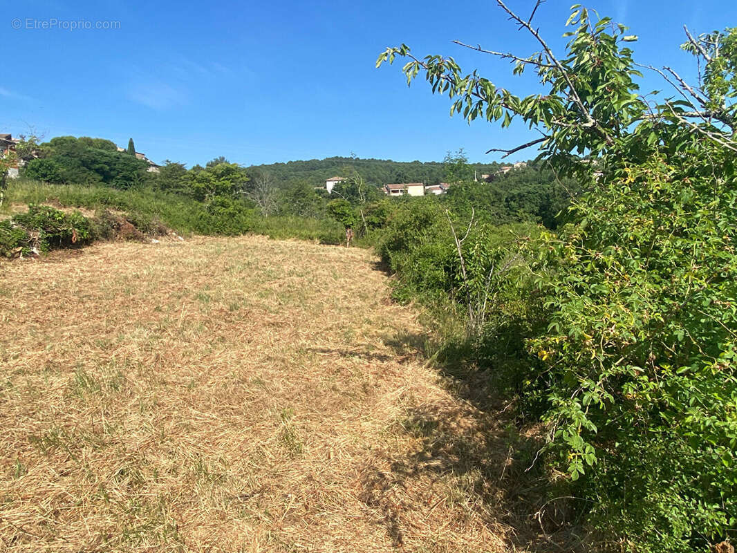 Terrain - environnement magnifique - photo 4