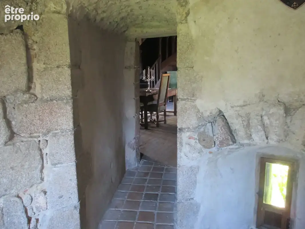 Château historique dominant les gorges de la Dore - photo 17