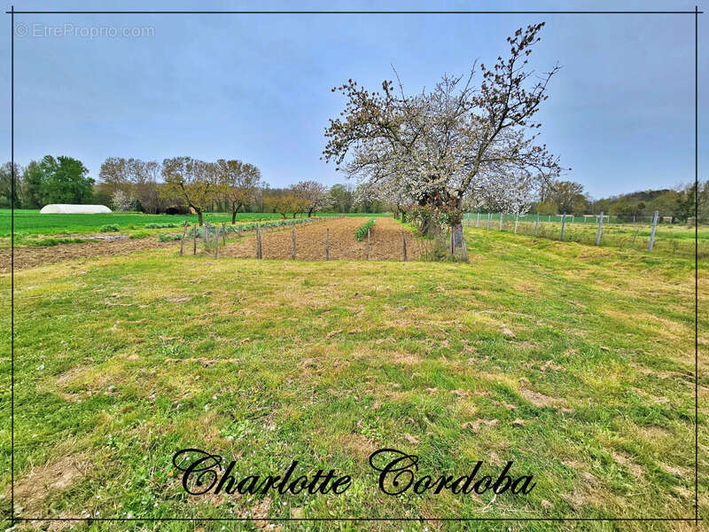 Maison à FEUGAROLLES