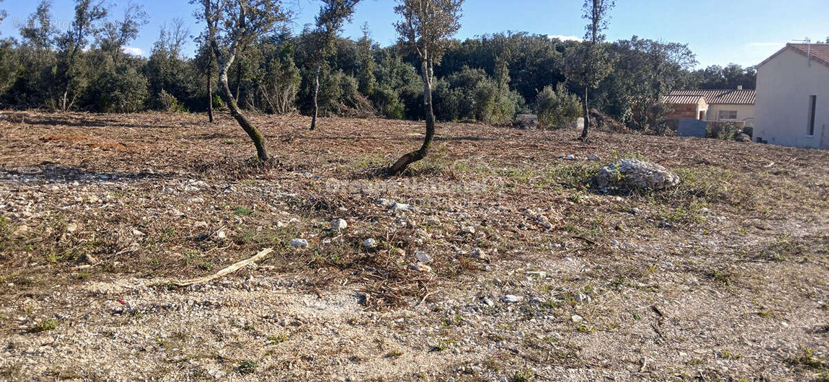 Terrain à ORGNAC-L'AVEN