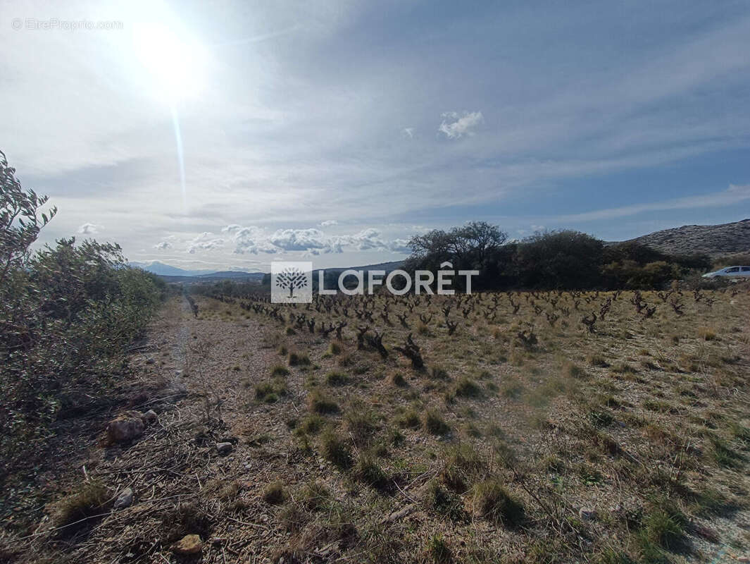 Terrain à OPOUL-PERILLOS