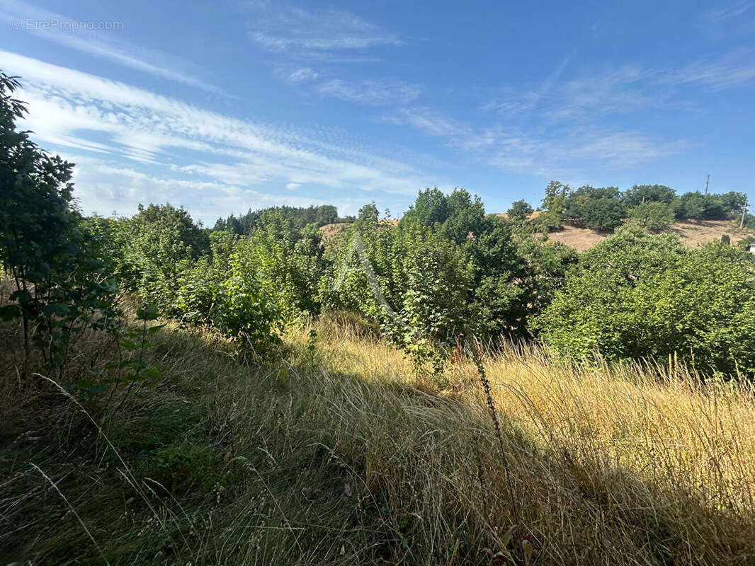 Terrain à CHATEAU-GONTIER