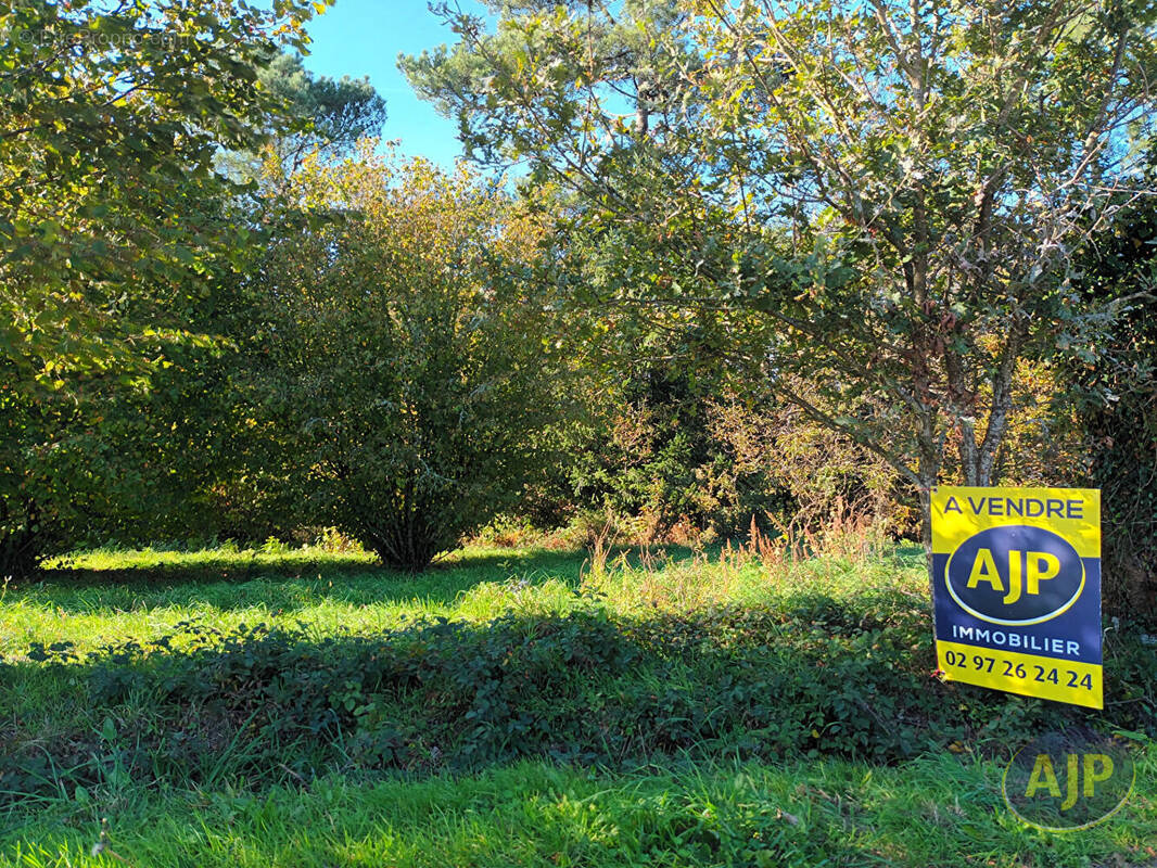 Terrain à QUESTEMBERT