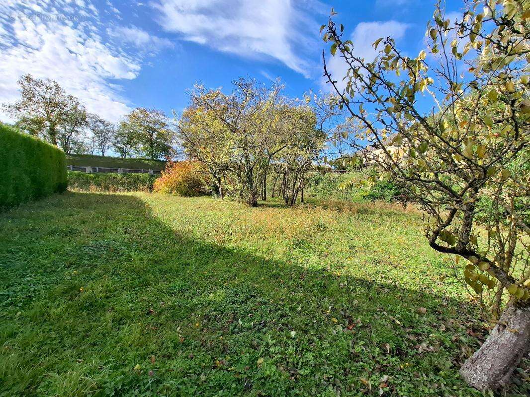 Maison à MONTIGNY-LENGRAIN