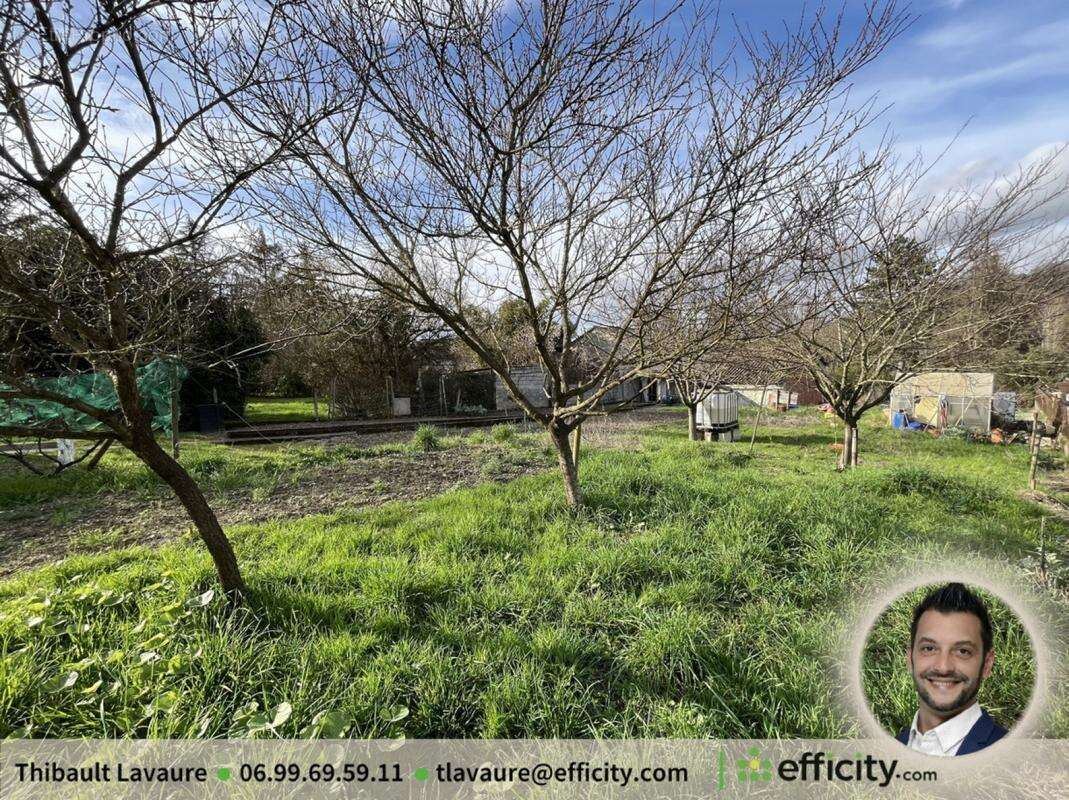 Terrain à CHAMPNIERS